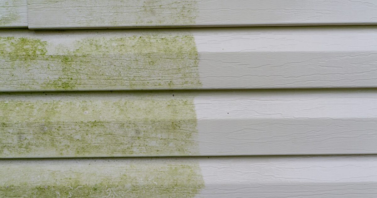 How to Clean Mold, Mildew, and Algae from Your Sidings